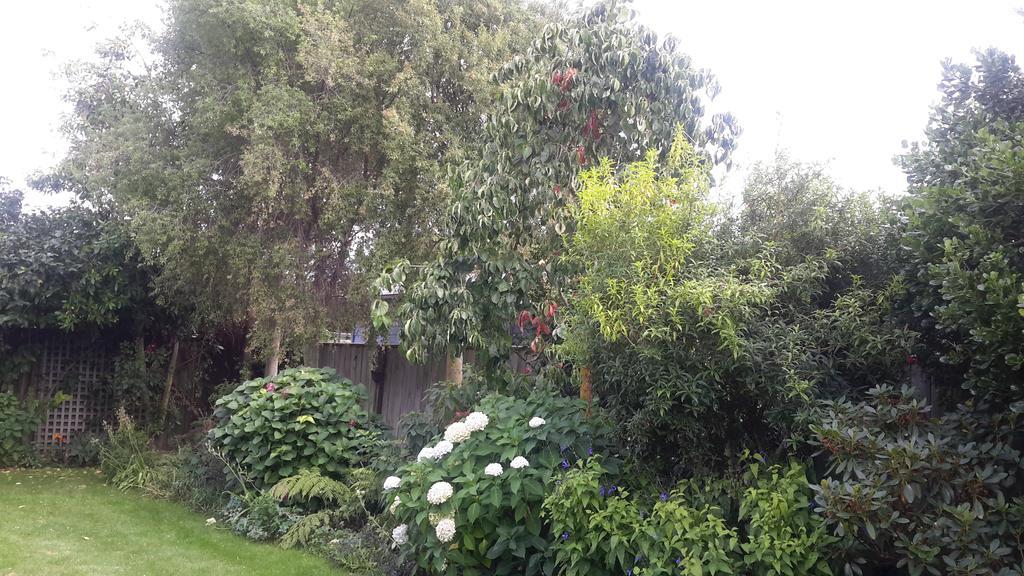 Jade Bed & Breakfast Blenheim Exterior foto