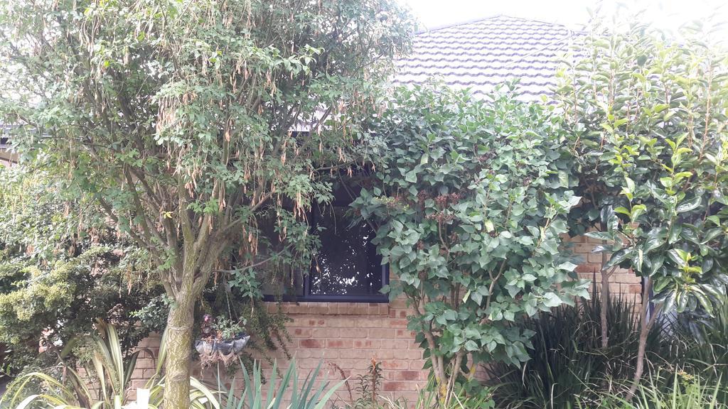 Jade Bed & Breakfast Blenheim Exterior foto
